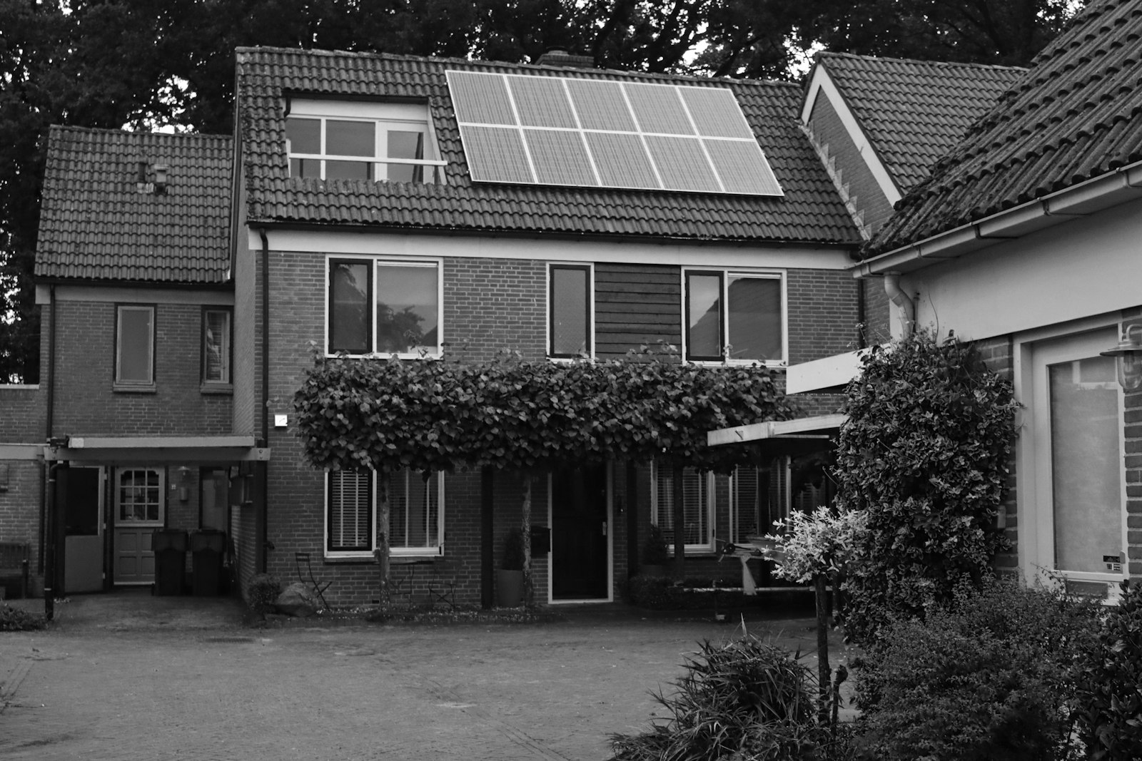 Premium Nederlands interieur met diepgroene muur